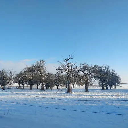 Apartment Kraewelhof *