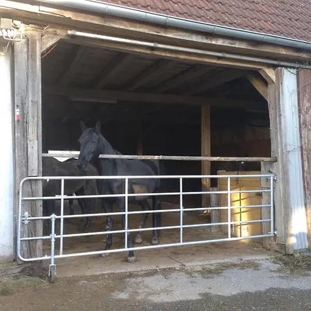 Kraewelhof Апартаменты *