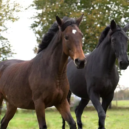 Kraewelhof Schrozberg